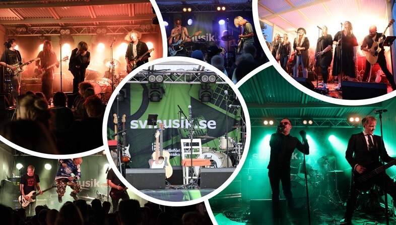 Collage av liveband som uppträder på scen inför publik med färgglad scenbelysning.