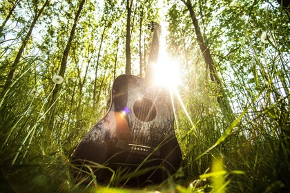 En akustisk gitarr står i högt gräs i en solig skog med solljus som lyser genom träden.