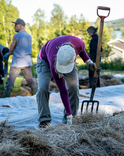 Person arbetar med högaffel på en åker, omgiven av andra människor och natur.