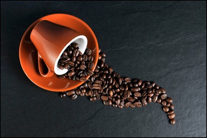 Kaffeprovning