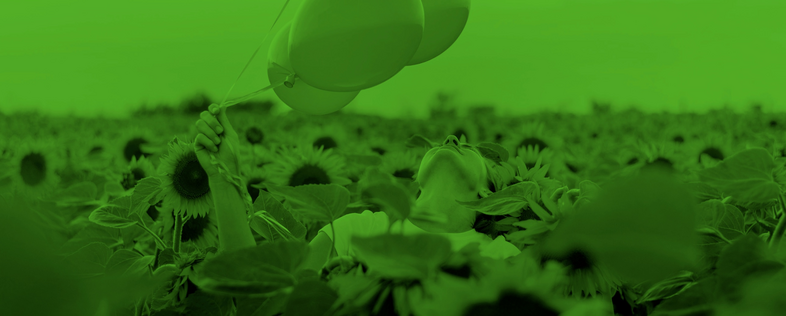 Person håller tre ballonger i ett fält av solrosor, bilden har ett grönt filter.