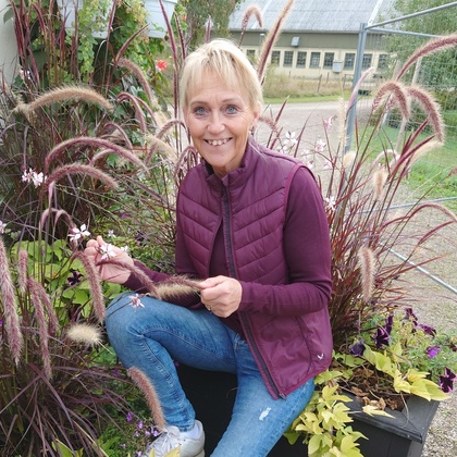 Person sitter på en blomlåda utomhus omgiven av prydnadsgräs och blommor.