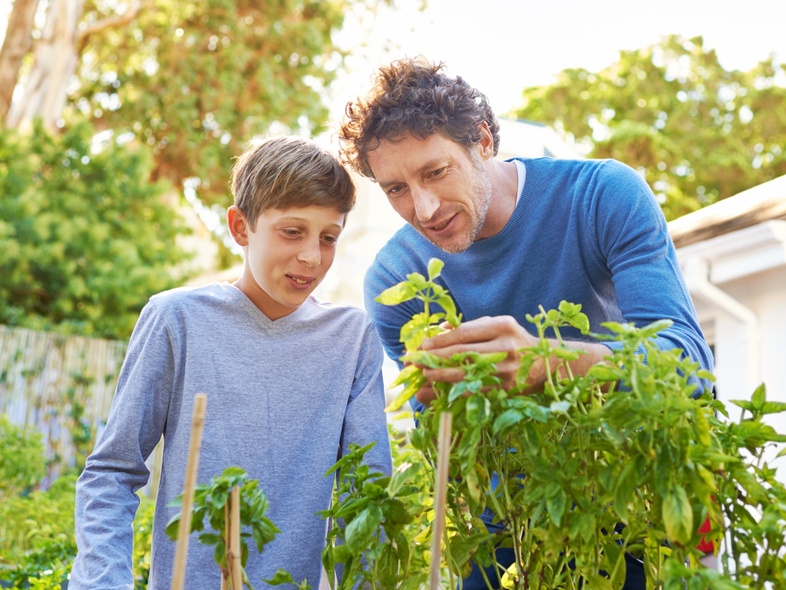 En man och en pojke odlar tillsammans i en grönskande trädgård en solig dag.