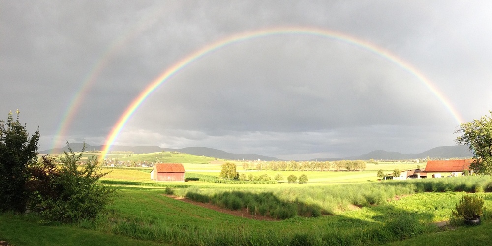 Landskap med gröna fält, bondgårdar och en tydlig dubbel regnbåge mot en molnig himmel.