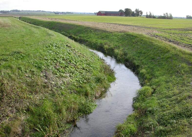 Ett smalt vattendrag slingrar sig genom ett öppet jordbrukslandskap med gröna fält och en röd lada i bakgrunden.