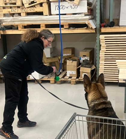 Person tränar en hund i ett lager med kartonger och träpallar.