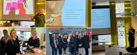 Kollage med bilder från en workshop, presentationer, gruppdiskussion och utomhusaktivitet.