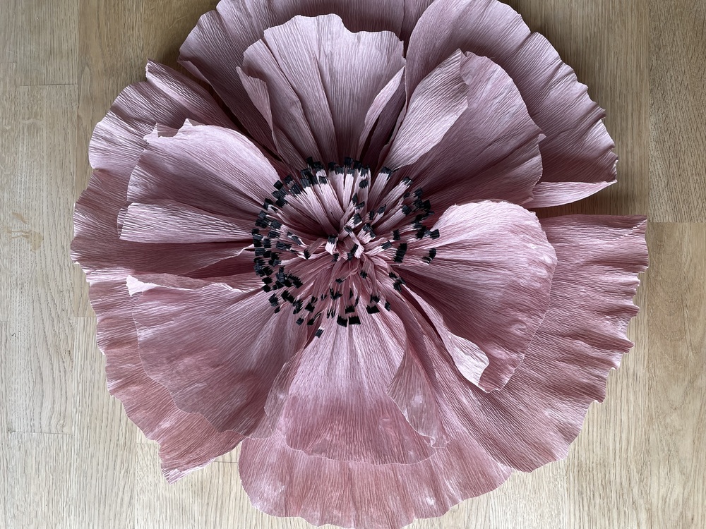 En stor, rosa pappersblomma med svarta detaljer i mitten ligger på ett trägolv.