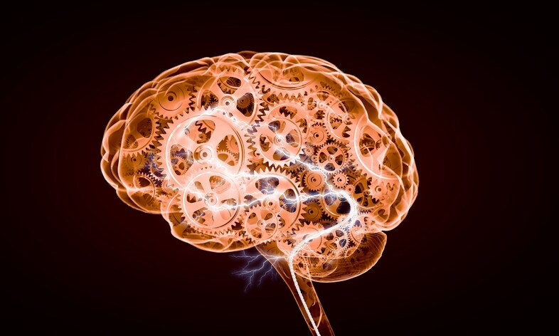 En stilistisk bild på en hjärna med kugghjul inuti.