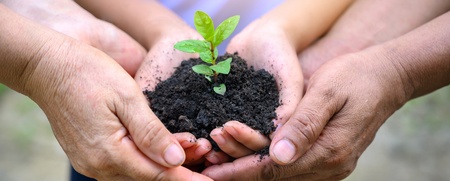 Flera händer håller tillsammans en liten planta med jord, symboliserar samarbete och miljövård.