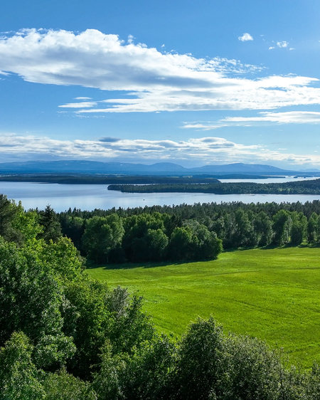 Landskapsvy med gröna ängar, skog, en sjö och blå himmel med moln i bakgrunden.
