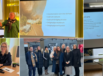 Kollage med bilder från en workshop, presentationer, gruppdiskussion och utomhusaktivitet.