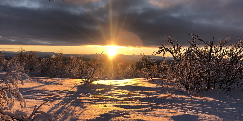 Solnedgång över ett snötäckt landskap med träd och långa skuggor under en dramatisk himmel.