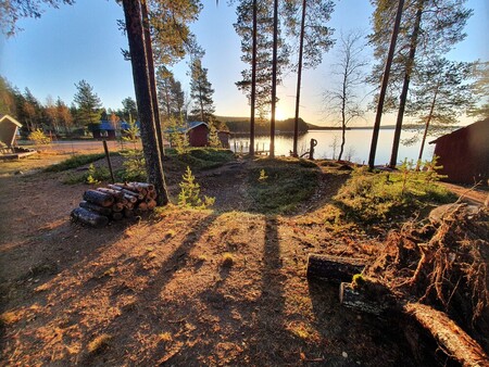 Solig skogsglänta vid en sjö med stugor, vedtrave och brygga i bakgrunden.