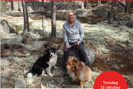 Person sitter på en sten i skogen med två hundar, omgiven av mossa och träd.