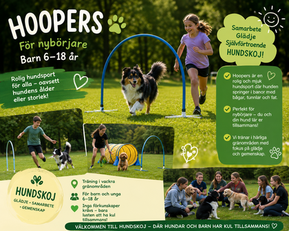 Barn och hundar tränar hoopers hundsport utomhus på gräsmatta, med tunnlar och bågar, i grupp och individuellt.
