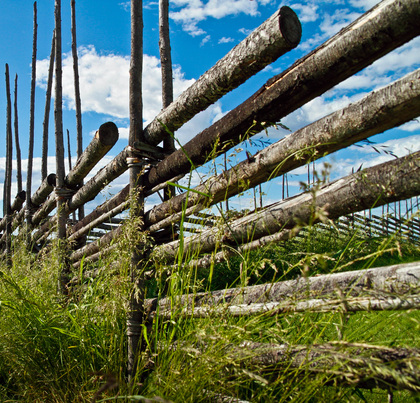 En traditionell trästaket av rundstockar i en grön äng under blå himmel med vita moln.