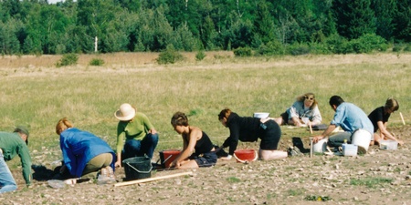 En grupp människor arbetar med arkeologiska utgrävningar på en gräsbevuxen åker.
