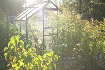 Ett växthus i trädgårdssol omgiven av frodiga gröna växter och blommor.