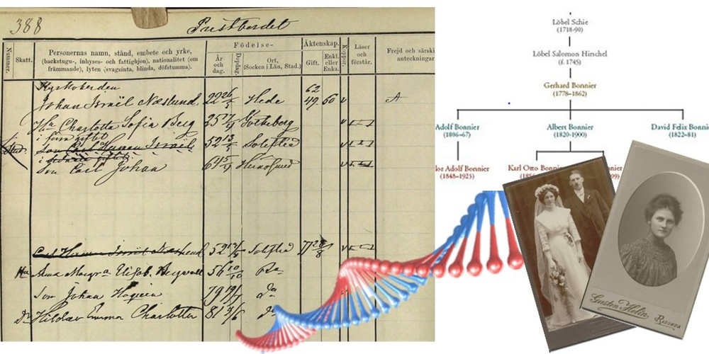 Kollage med gammalt släktregister, släktträd, DNA-spiral och gamla fotografier av personer.