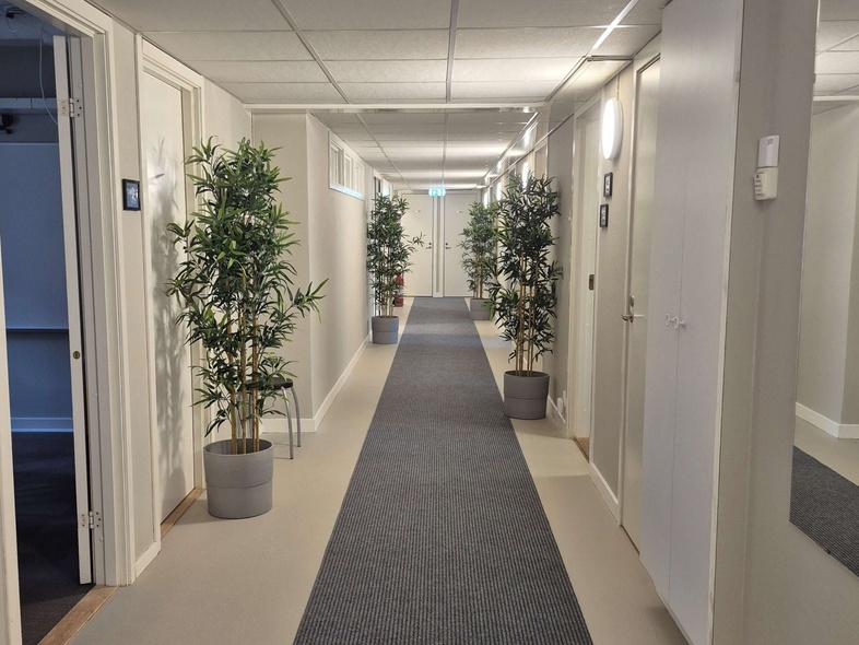 Ljus korridor med grå matta, vita väggar och flera gröna krukväxter längs sidorna.