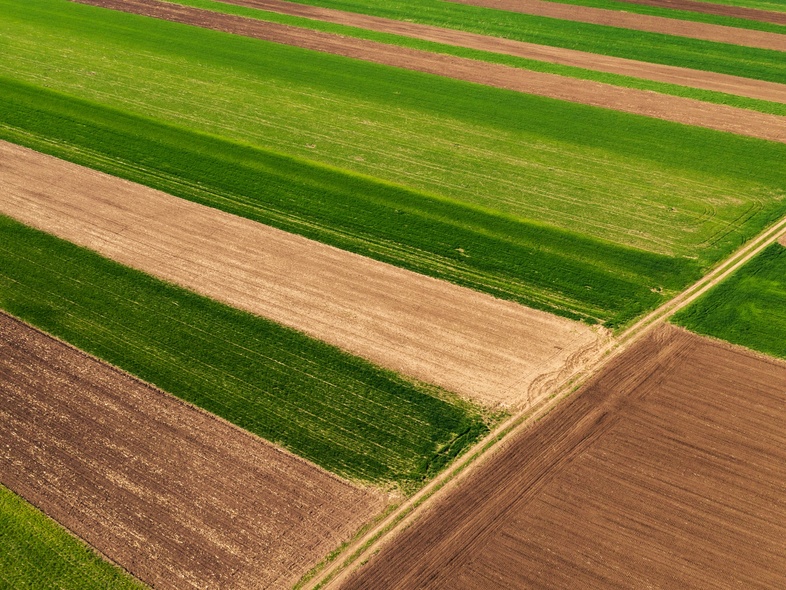 Flygfoto över åkrar med olika grödor och jord, ordnade i rektangulära fält.