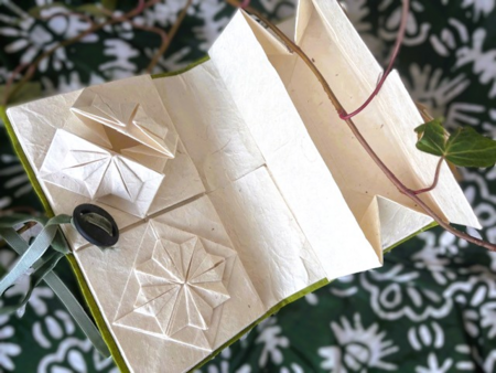 En öppen bok med origami-liknande vikningar på sidorna, omgiven av en grön växt på mönstrad bakgrund.