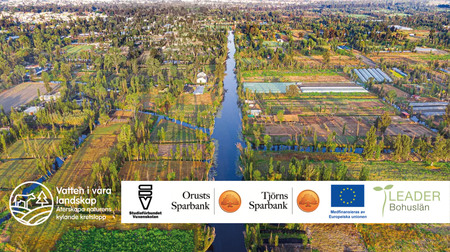 Flygfoto över ett landskap med kanaler, odlingsfält och träd i dagsljus.