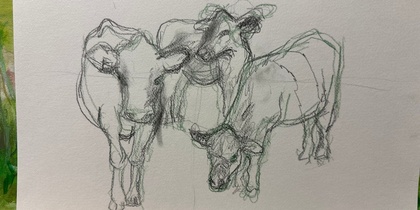Blyertsteckning av tre kor som står tillsammans på ett papper.