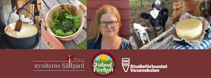 Kollage med osttillverkning, grankvistar, kvinna, kor och ost, samt logotyper för Nysäterns fjällgård och Studieförbundet Vuxenskolan.