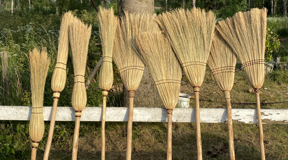 Nio kvastskaft av halm står uppradade mot ett vitt staket utomhus i solljus.