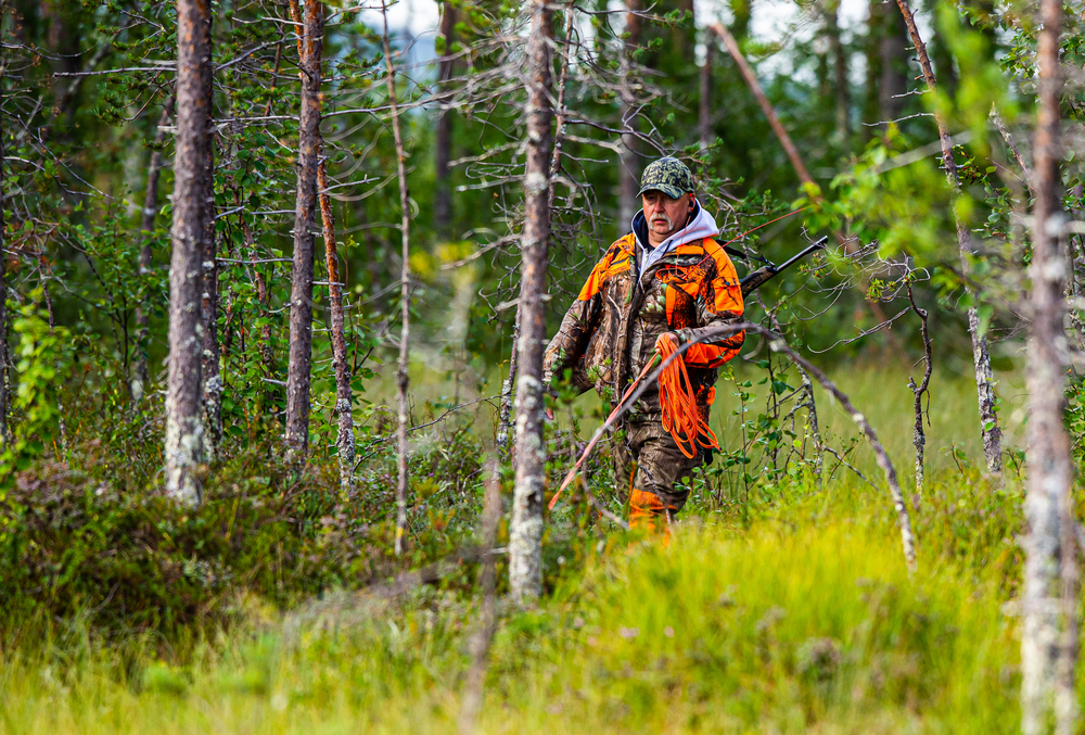 En jägare i orange och kamouflagekläder går med gevär genom en grön skog.