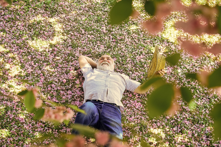 En äldre man ligger avslappnat på marken täckt av rosa blomblad och håller en bok i handen.