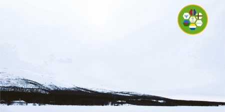 Snötäckt landskap med fjäll och skog, samt en grön cirkel med symboler för Sveriges Nationella  Minoriteter uppe till höger.