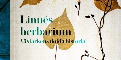 Bokomslag med torkade växtdelar och texten 'Linnés herbarium: Växtarkens dolda historia' av Lena Granefelt.