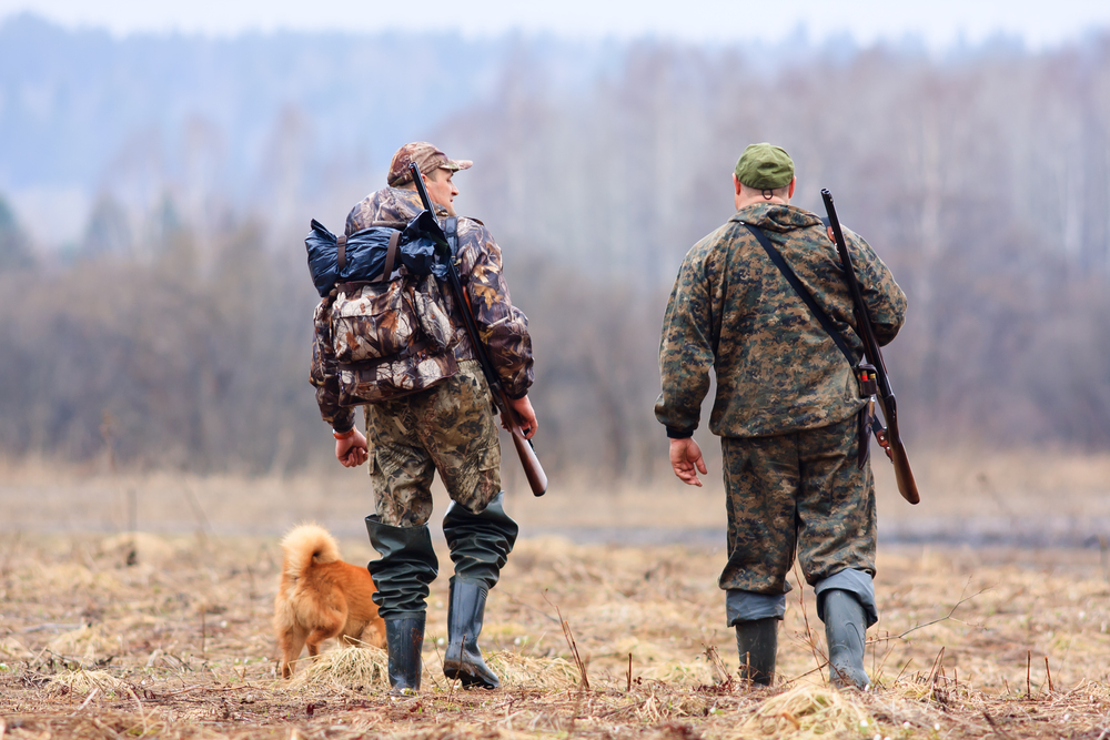 Två jägare i kamouflagekläder och en hund går på ett fält med gevär på ryggen, ryggen mot kameran.