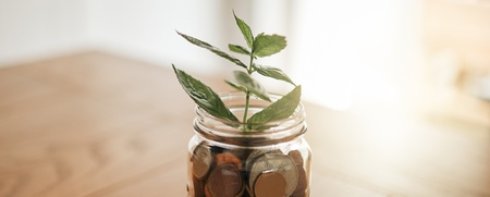 En glasburk fylld med mynt står på ett träbord, med en grön växt som växer ur burken.