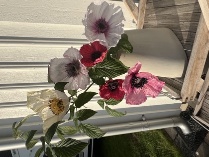 En vas med stora, färgglada blommor i vitt, rosa och rött står på ett träbord utomhus i solljus.