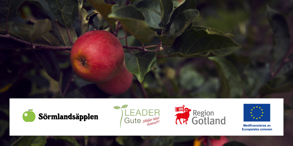 Röda äpplen på träd med gröna blad, logotyper för Sörmlandsäpplen, Leader Gute, Region Gotland och EU längst ner.
