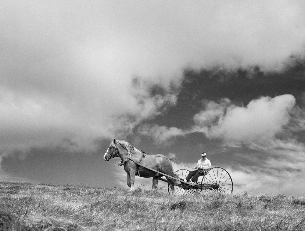 En man kör en hästdragen vagn över ett fält under en dramatisk himmel, i svartvitt foto.