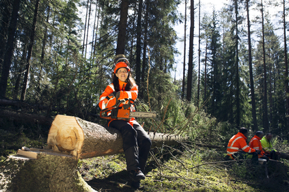 En person i orange skyddskläder sitter på en fälld trädstam i en skog med en motorsåg i händerna.
