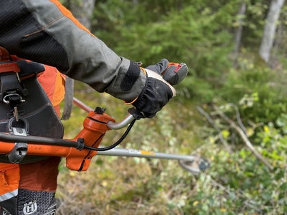 Röjsåg i skog