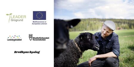 Man i keps sitter på gräs bredvid två svarta får på en äng, logotyper och text om projektstöd syns till vänster.