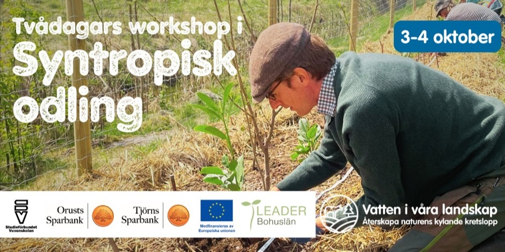 Man planterar växter under en workshop i syntropisk odling, utomhus på en inhägnad odlingsplats.