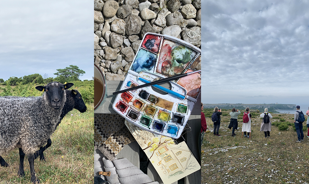 Tre bilder: en får på äng, ett akvarellset med skiss, och en grupp människor som vandrar på en kust.
