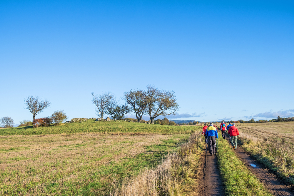 En grupp människor promenerar på en landsväg genom ett öppet fält under klarblå himmel.