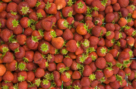 Ett stort antal färska jordgubbar med gröna blad ligger tätt tillsammans.